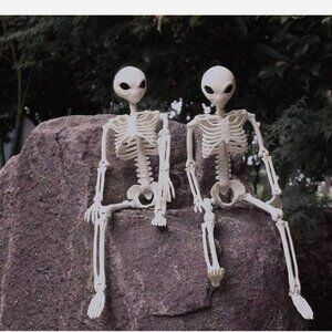 14" Alien Skeleton Halloween Decorations, (2 count) Full Body Skeleton Props